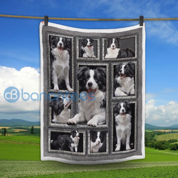 Border Collie Sheep Dog Sherpa Blanket Product Photo