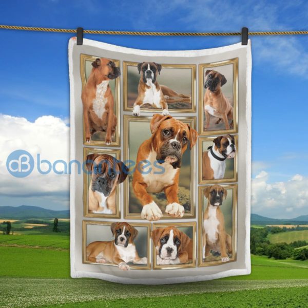 Cute Boxer Dog Sherpa Blanket Product Photo
