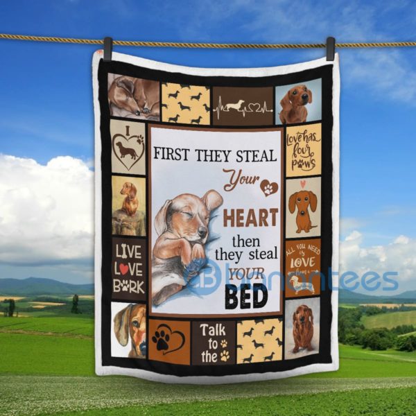 Dachshund First They Steal Your Heart Then They Steal Your Bed Sherpa Blanket Product Photo