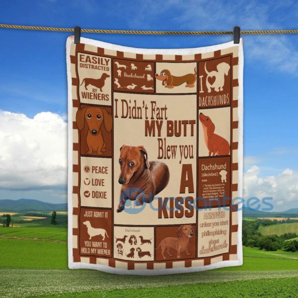 Dachshund I Didn't Fart My butt Blew You A Kiss Sherpa Blanket Product Photo