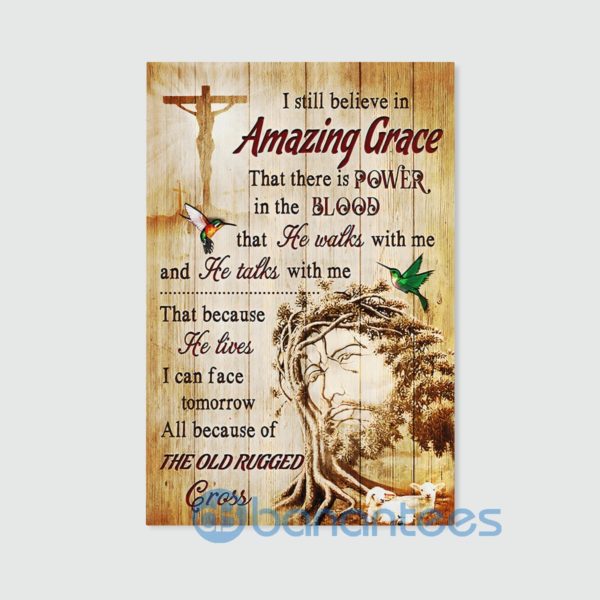 I Still Believe In Amazing Grace Beautiful Wall Art Canvas Product Photo