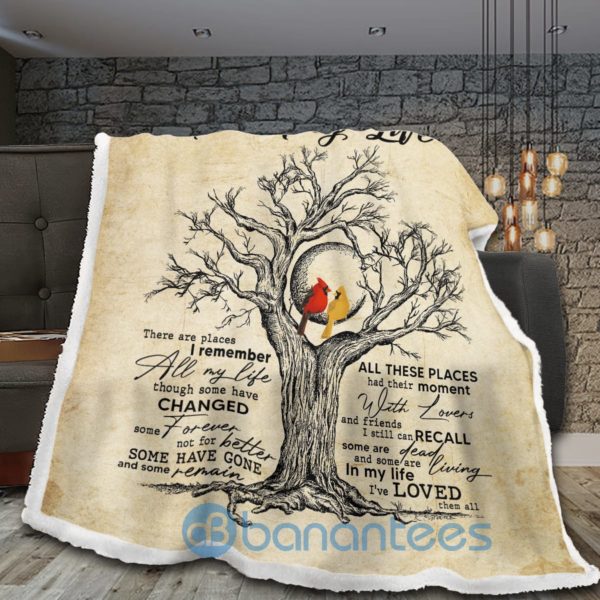 In My Life Cardinal Sherpa Blanket Product Photo