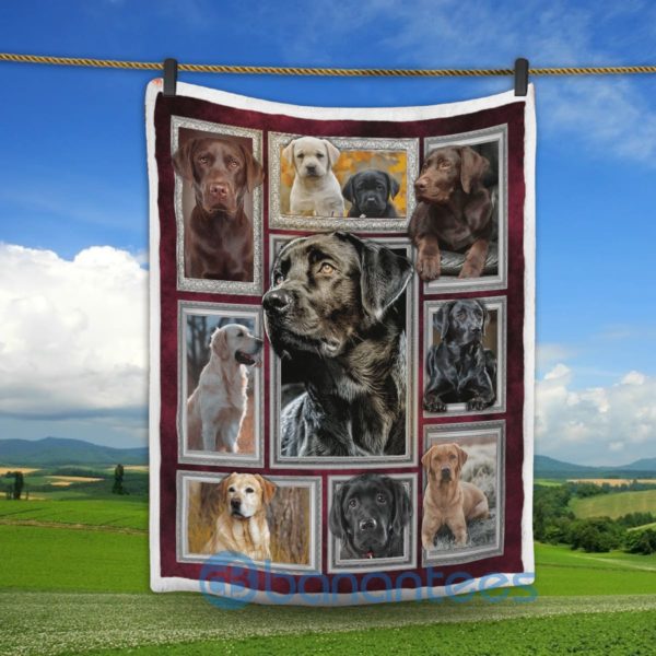 Labrador Retriever Dog Design Sherpa Blanket Product Photo