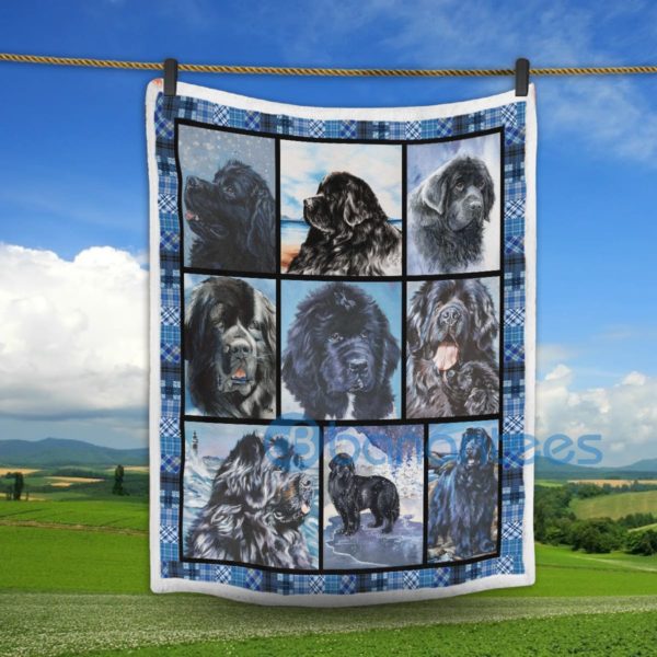 Newfoundland Dog Art Design Sherpa Blanket Product Photo