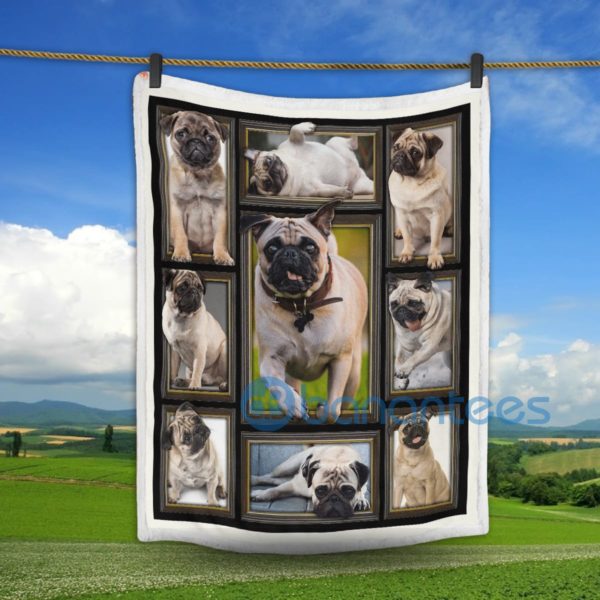 Pug Dog Love Design Sherpa Blanket Product Photo
