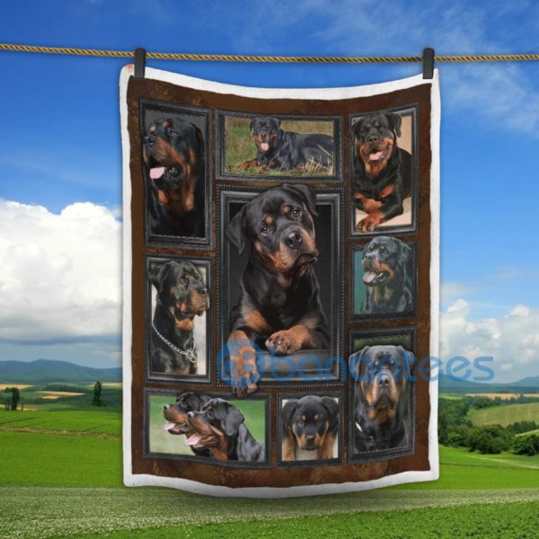Rottweiler Dog Design Sherpa Blanket For Rottweilier Lover Product Photo