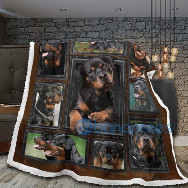 Rottweiler Dog Design Sherpa Blanket For Rottweilier Lover Product Photo
