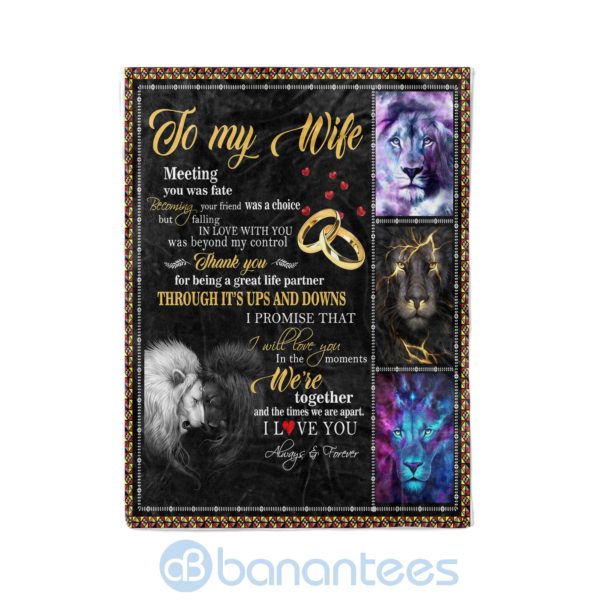 To my wife Thank You For Being A Greet Life Partner Fleece Lion Blanket Product Photo