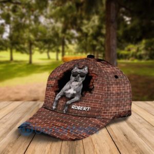 Cap Brick Color Personalized Gift For You Amazing Cap Product Photo