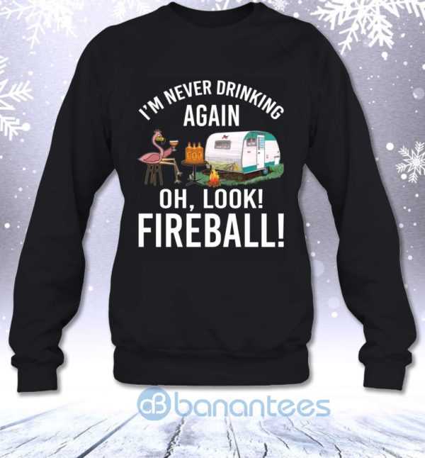 I'm Never Drinking Again Oh Look Fireball Funny Whisky Flamingo Lady Sweatshirt Product Photo