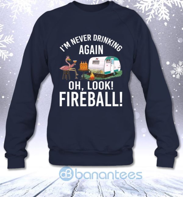 I'm Never Drinking Again Oh Look Fireball Funny Whisky Flamingo Lady Sweatshirt Product Photo