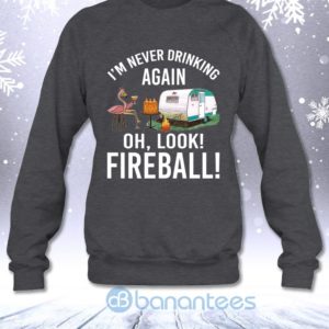 I'm Never Drinking Again Oh Look Fireball Funny Whisky Flamingo Lady Sweatshirt Product Photo