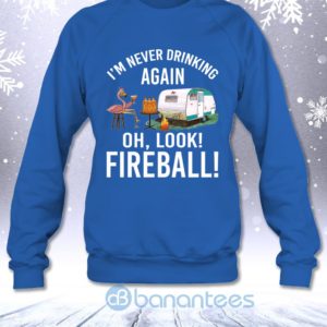 I'm Never Drinking Again Oh Look Fireball Funny Whisky Flamingo Lady Sweatshirt Product Photo
