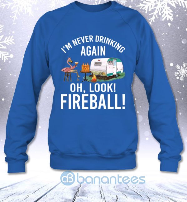 I'm Never Drinking Again Oh Look Fireball Funny Whisky Flamingo Lady Sweatshirt Product Photo
