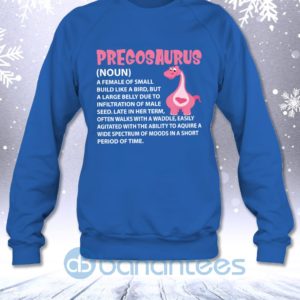 Pregosaurus Funny Sarcastic Pregnant Dinosaur Mom Definition Sweatshirt Product Photo