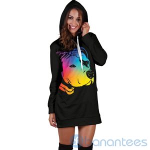 Rainbow Pit Hoodie Dress For Women Product Photo
