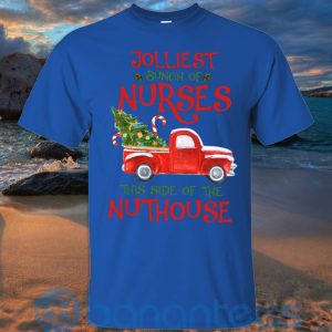 Jolliest Bunch Of Nurses This Side Of The Nuthouse T Shirt Hoodie Sweatshirt Product Photo