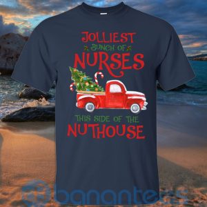 Jolliest Bunch Of Nurses This Side Of The Nuthouse T Shirt Hoodie Sweatshirt Product Photo