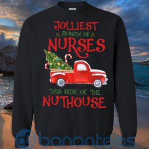 Jolliest Bunch Of Nurses This Side Of The Nuthouse T Shirt Hoodie Sweatshirt Product Photo