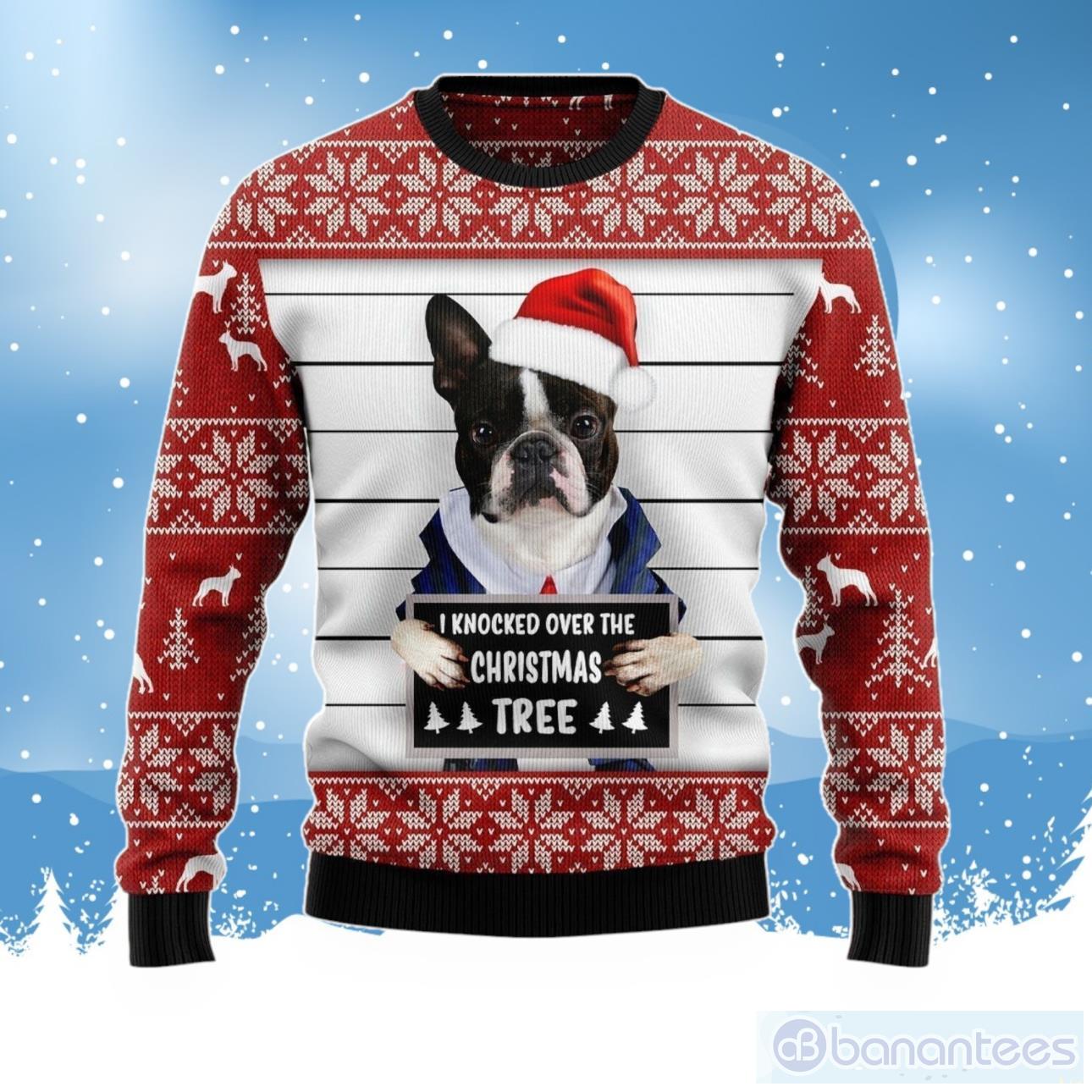 Boston hotsell terrier jumper