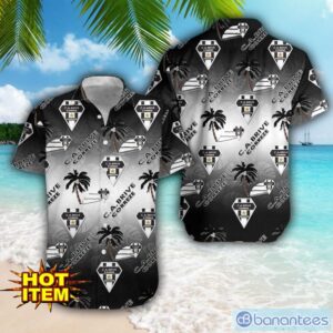 CA Brive Hawaii 3D Printing Tropical Hawaiian Shirt For Men And Women Beach Summer Gift Product Photo 1