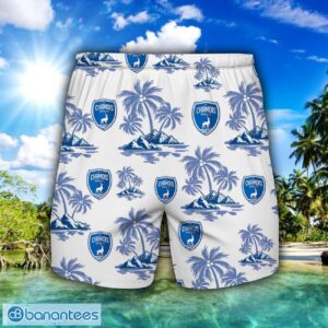 Chamois Niortais FC Hawaiian Shirt And Shorts 3D Printing Hawaii Summer Gift Product Photo 2