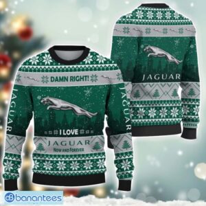 Jaguar Damn Right I Lover Jaguar Now And Forever 3D Ugly Christmas Sweater Christmas Gift Product Photo 1